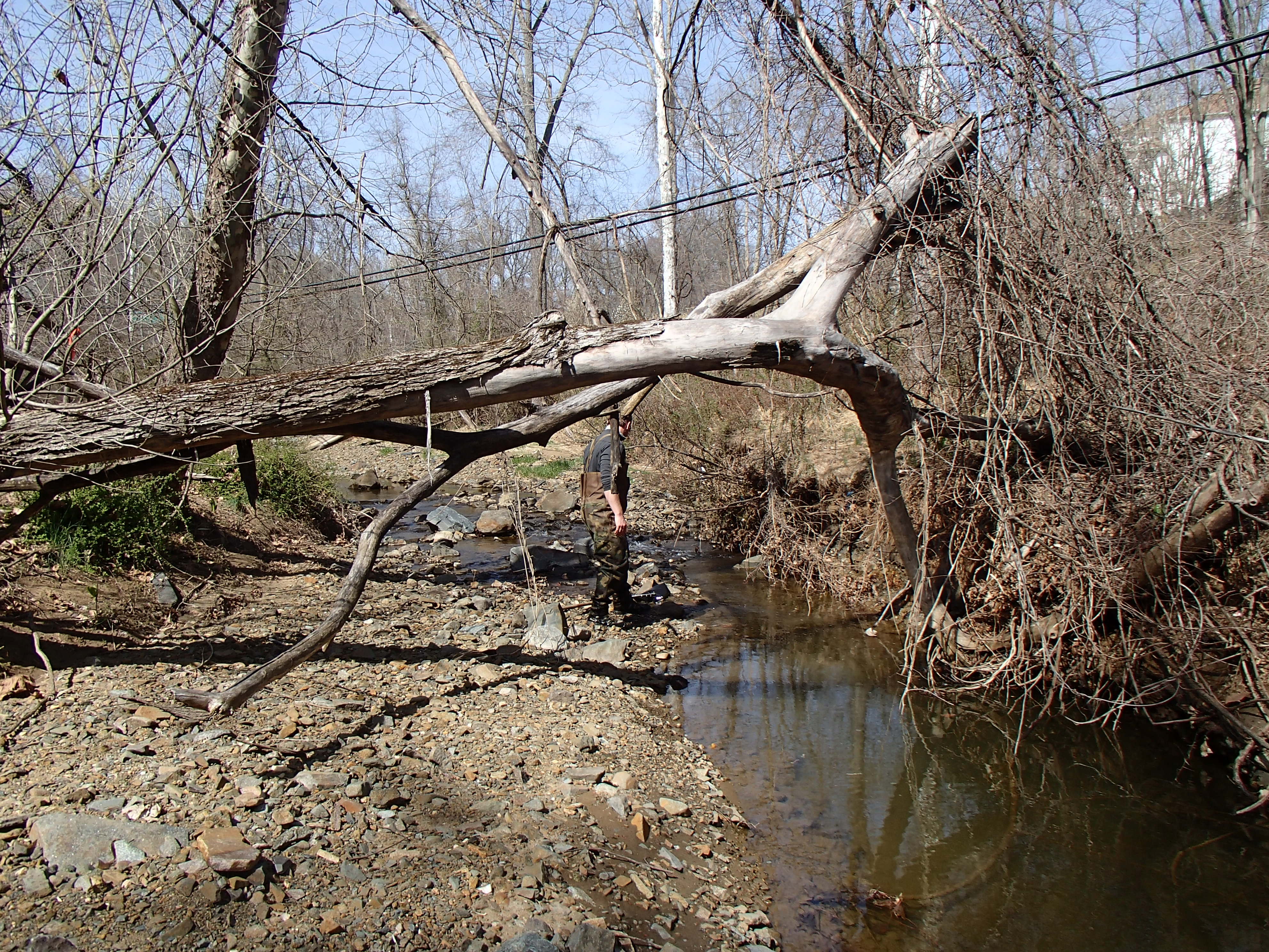 Field photo showing stream conditions at site ATKI-106-R-2016_ midpoint upstream